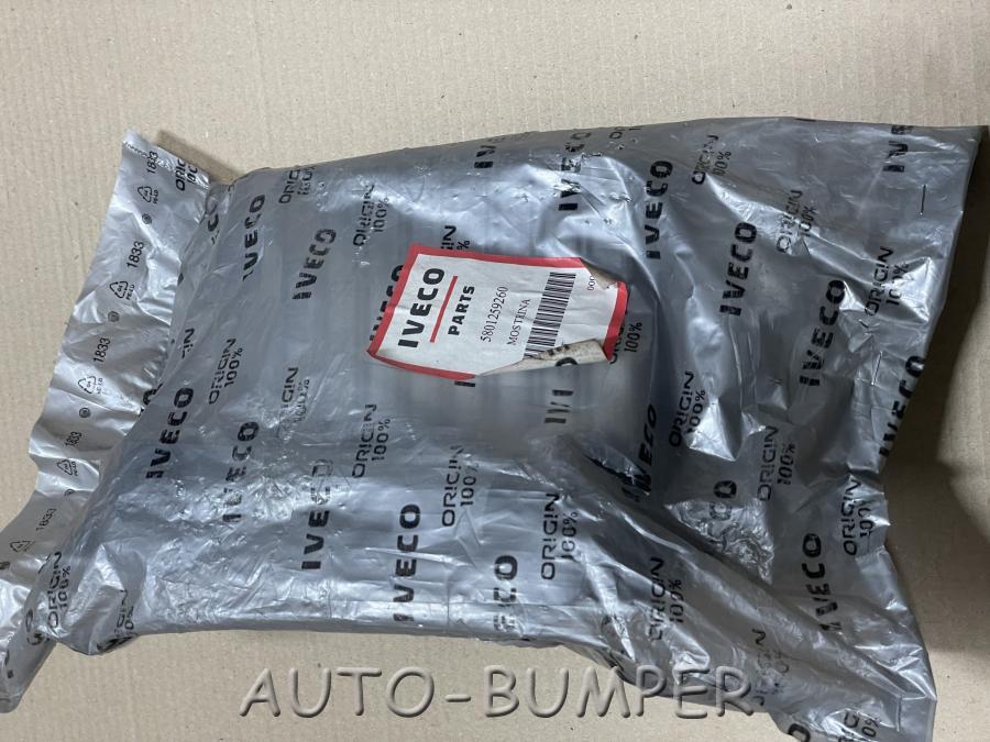 Iveco Daily 5 2011- Рамка под магнитолу  5801259260